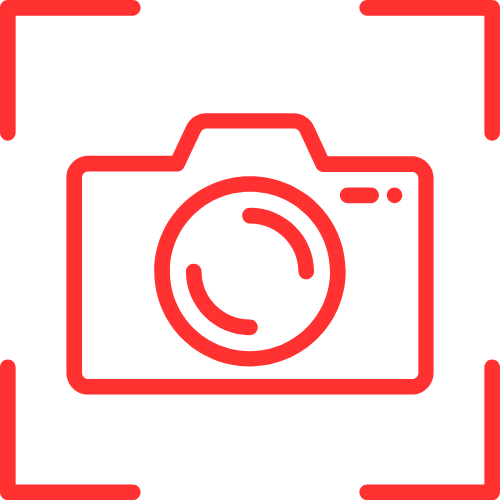 Pd Adult Cams